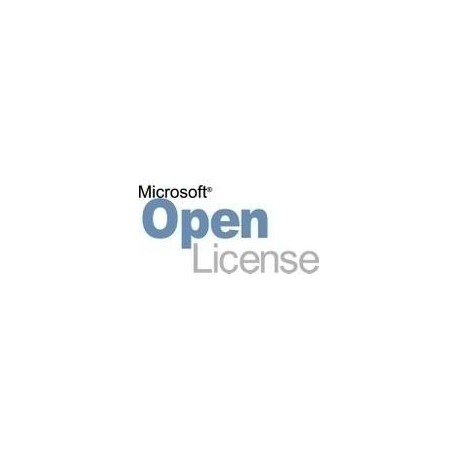 Microsoft Office Professional Plus, OLP NL, License & Software Assurance, 1 license, EN