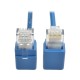 Tripp Lite RJ45, Cat6, 0.3 m cable de red Azul 0,3 m U/UTP (UTP)