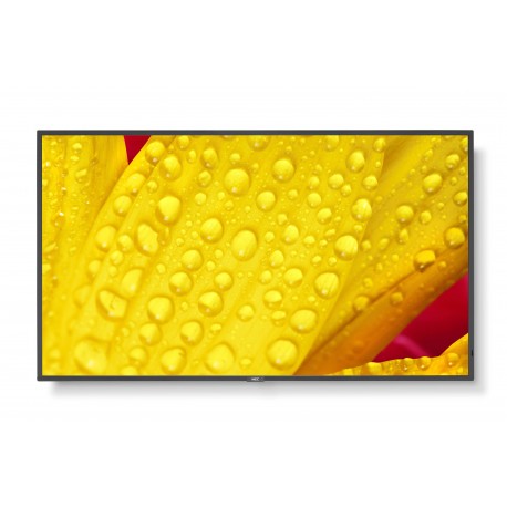 NEC MultiSync M501-2 50'' LED 4K Ultra HD Negro - 60006084