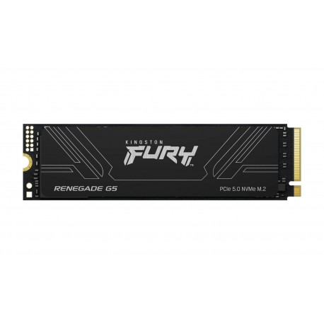 Kingston Technology 2T FURY RENEGADE G5 M.2 2280 NVMe SSD
