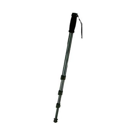 WALIMEX - walimex WT-1003 Basic Monopod 171cm - 12120