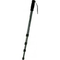 WALIMEX - walimex WT-1003 Basic Monopod 171cm - 12120