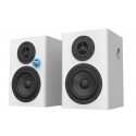 Vision SP-1100P altavoz SP-1100P