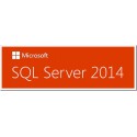 Microsoft SQL Server 2014 Developer E32-01155