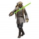 Star Wars The Black Series Kit Fisto