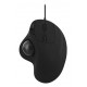 T'NB - T'nB MUTRACK ratón Universal mano derecha USB Type-A + USB Type-C Óptico 1600 DPI - MUTRACK