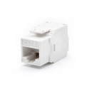WP WPC-KEY-6UP-TL/W conector RJ45 Blanco