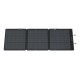 EcoFlow EFSOLAR160W-N placa solar 160 W Silicio monocristalino
