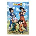 Poster 3d 58x38cm battle of gods goku vegeta family dragon ball super