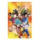 Poster 3d 58x38cm universal survival heroes dragon ball super
