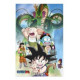 Poster 3d 38x58cm shenron and heroes dragon ball