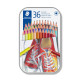 Staedtler 175 Multicolor 36 pieza(s)