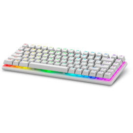 ALIENWARE - Alienware Pro Wireless Gaming Keyboard teclado Juego USB + RF Wireless + Bluetooth Blanco - PRO-KB-W-WW