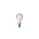 Philips Bombilla 100 W A60 E27