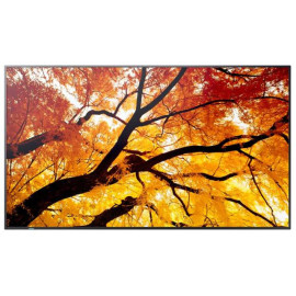 Sharp MultiSync M752 Panel plano interactivo 189,2 cm (74.5'') LED 550 cd / m² 4K Ultra HD Negro 24/7