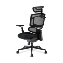 SILLA SHARKOON OFFICEPAL C50 NEGRA