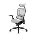 SILLA SHARKOON OFFICEPAL C50M NEGRA