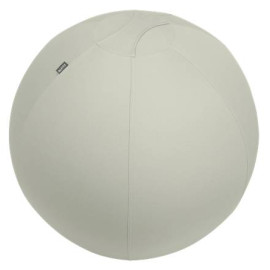 Leitz Ergo pelota de ejercicios 65 cm Gris De tamaño completo