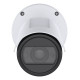 Axis P1487-LE Bala (forma) Cámara de seguridad IP Exterior 2592 x 1944 Pixeles Abrazadera para mástil