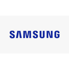 Samsung P-LM-1NXX14H 1 licencia(s) 2 año(s)
