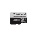 Transcend TS256GUSD340S memoria flash 256 GB MicroSDXC UHS-I Clase 10