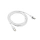 Lanberg PCF6-10CC-0100-W cable de red Blanco 1 m Cat6 F/UTP (FTP)