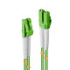 Lindy 46310 cable de fibra optica 1 m LC OM5 Verde
