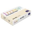 IMAGE COLORACTION PAPEL REPROGRÁFICO DIN A4 80GR PAQUETE 500H DUNE/SALMÓN ARENA -5U-