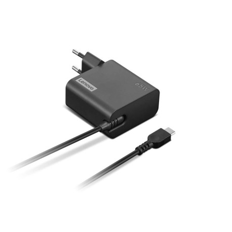 Lenovo GX21L58555 adaptador e inversor de corriente Interior 65 W Negro