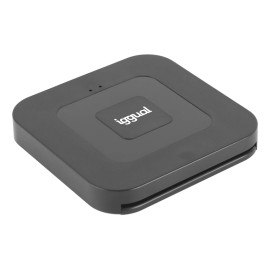 IGGUAL - iggual Lector DNI SIP tarjetas ID USB-A / tipo C - IGG320723
