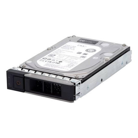 AXIS - Axis 03317-001 disco duro interno 12 TB - 03317-001
