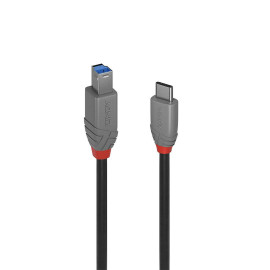 Lindy 36668 cable USB 3 m USB 3.2 Gen 1 (3.1 Gen 1) USB C USB B Negro