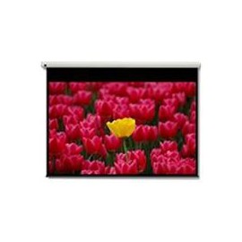 Optoma Pantalla 16:9 2656 x 1494mm DE-9120EGA