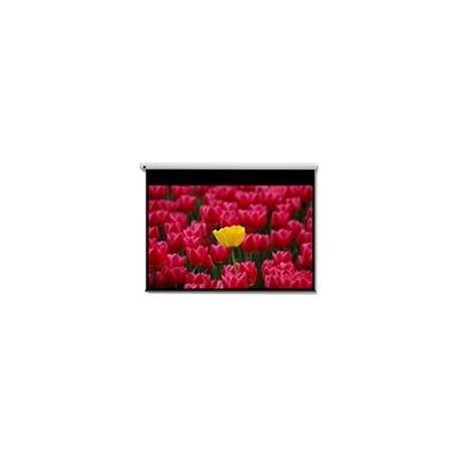 Optoma Pantalla 16:9 2656 x 1494mm DE-9120EGA