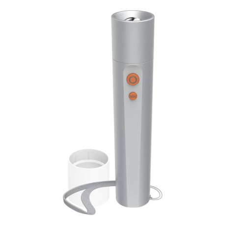 Hama FL250 Plata Linterna de mano LED