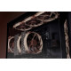 Noctua NF-A12x25 G2 PWM Carcasa del ordenador Ventilador 12 cm Beige 1 pieza(s)