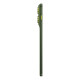 Motorola edge 70 17 cm (6.7'') SIM doble Android 16.0 5G USB Tipo C 12 GB 512 GB 4800 mAh Verde