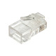 Lindy 62405 conector RJ-45 Transparente