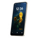 TCL 70 NXTPAPER Pro 17,5 cm (6.9'') SIM doble Android 16.0 5G USB Tipo C 8 GB 256 GB 5200 mAh Oro