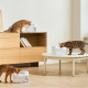 CATLINK Pure 3 AI comedero y bebedero para perro y gato Acrilonitrilo butadieno estireno