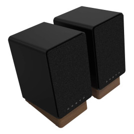 ONKYO GX-30ARC De 2 vías Negro Inalámbrico y alámbrico 50 W