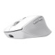 Trust Niven ratón Oficina mano derecha RF Wireless + Bluetooth 3200 DPI
