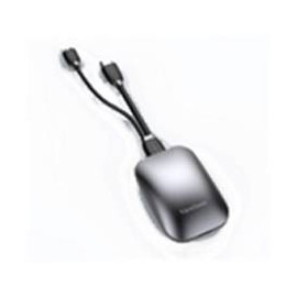 Viewsonic VB-WPS-003 mando a distancia WiFi Pantalla interactiva