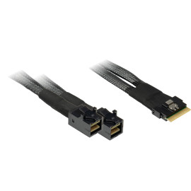 Inter-Tech SFF-8654 8i - 2x SFF-8643 24 Gbit/s Negro