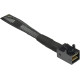 Inter-Tech SFF-8654 8i - 2x SFF-8643 24 Gbit/s Negro