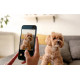 TCL - TCL K70 4G 17,3 cm (6.8'') Android 16.0 USB Tipo C 4 GB 128 GB 5200 mAh Gris - T522A-2ALCA112