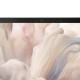 DELL - DELL Pro 14 Premium PA14250 Copilot+ PC Intel Core Ultra 7 268V Portátil 35,6 cm