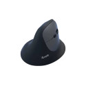 EQUIP - Equip 245120 ratón Universal mano derecha RF Wireless + Bluetooth Óptico 1600 DPI - 245120
