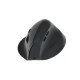 EQUIP - Equip 245120 ratón Universal mano derecha RF Wireless + Bluetooth Óptico 1600 DPI - 245120