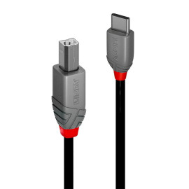 LINDY - Lindy 36943 cable USB 3 m USB 2.0 USB C USB B Negro - 36943